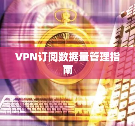 VPN订阅数据量管理指南