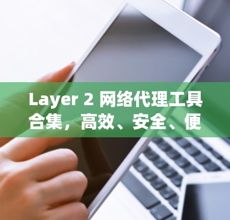 Layer 2 网络代理工具合集，高效、安全、便捷的网络解决方案