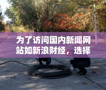 为了访问国内新闻网站如新浪财经，选择以下步骤