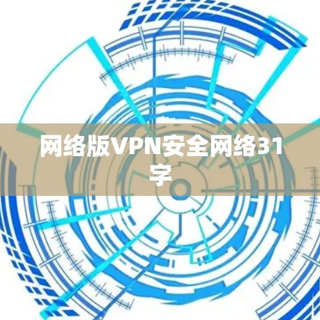 网络版VPN安全网络31字