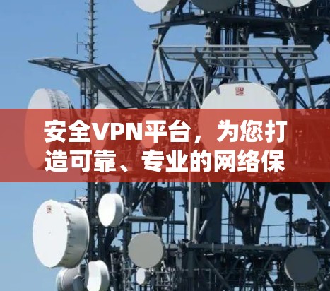 安全VPN平台，为您打造可靠、专业的网络保护服务