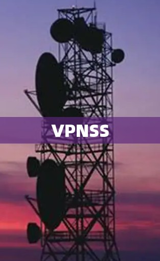 VPNSS