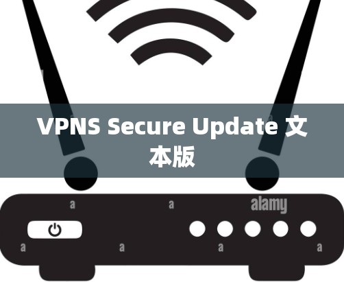 VPNS Secure Update 文本版
