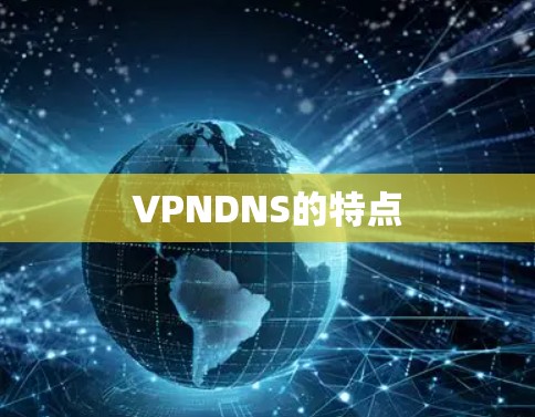 VPNDNS的特点