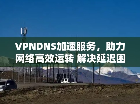 VPNDNS加速服务，助力网络高效运转 解决延迟困扰