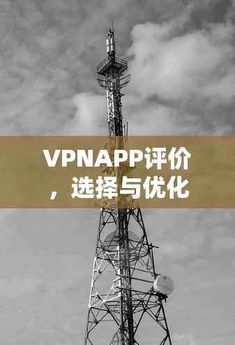 VPNAPP评价，选择与优化