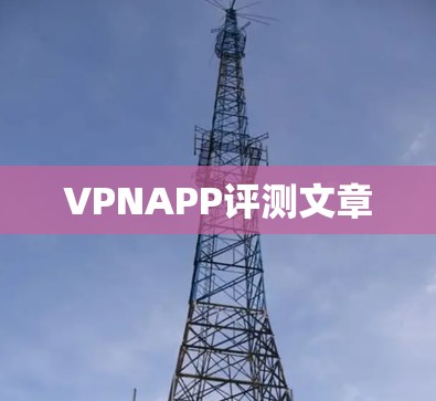 VPNAPP评测文章