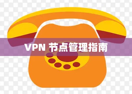 VPN 节点管理指南
