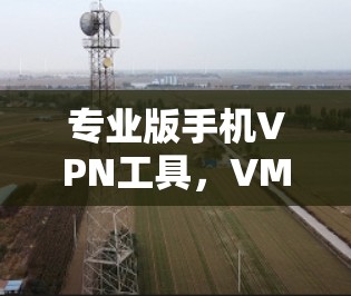 专业版手机VPN工具，VMiGP2+全面守护网络