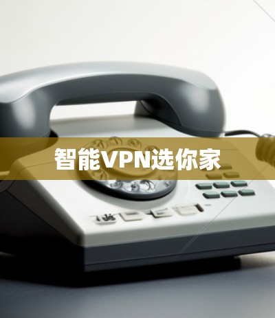 智能VPN选你家