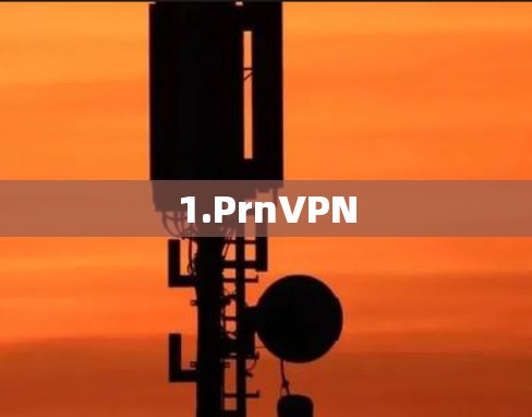 1.PrnVPN