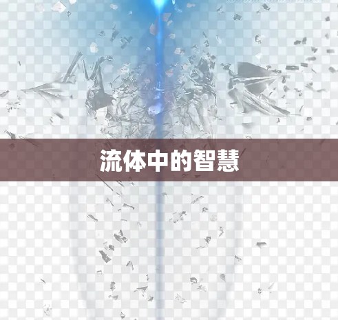 流体中的智慧