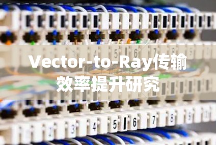 Vector-to-Ray传输效率提升研究