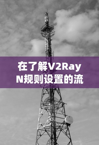 在了解V2RayN规则设置的流程后，以下是详细的步骤总结