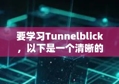 要学习Tunnelblick，以下是一个清晰的学习步骤指南