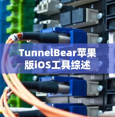 TunnelBear苹果版iOS工具综述