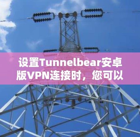 设置Tunnelbear安卓版VPN连接时，您可以按照以下步骤进行