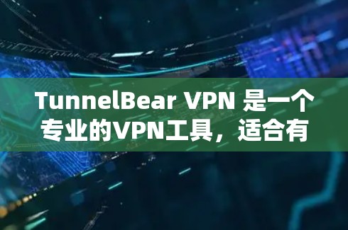 TunnelBear VPN 是一个专业的VPN工具，适合有一定技术背景或需要高安全性的用户。以下是详细的使用指南和注意事项