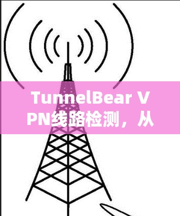 TunnelBear VPN线路检测，从配置到漏洞排查