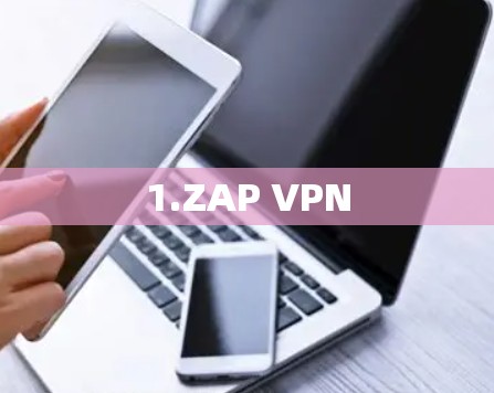 1.ZAP VPN