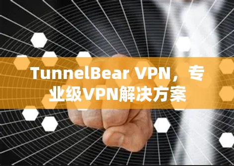 TunnelBear VPN，专业级VPN解决方案