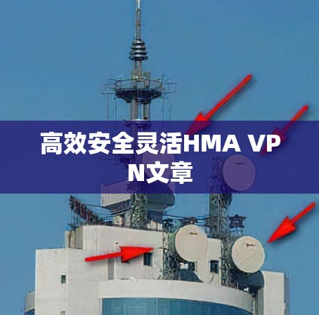 高效安全灵活HMA VPN文章