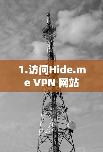 1.访问Hide.me VPN 网站