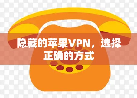 隐藏的苹果VPN，选择正确的方式