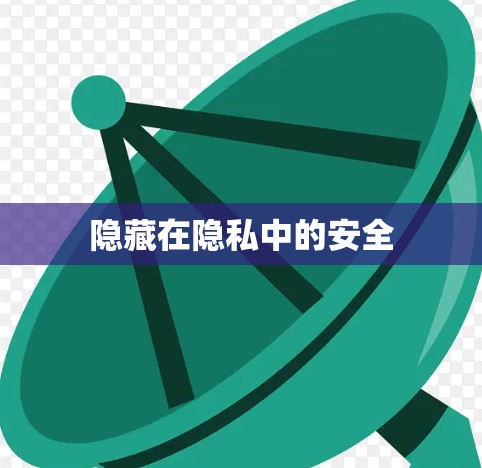 隐藏在隐私中的安全