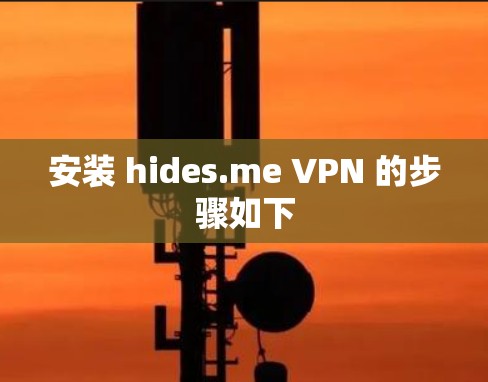安装 hides.me VPN 的步骤如下