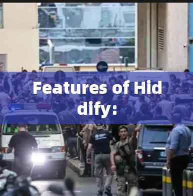 Features of Hiddify: