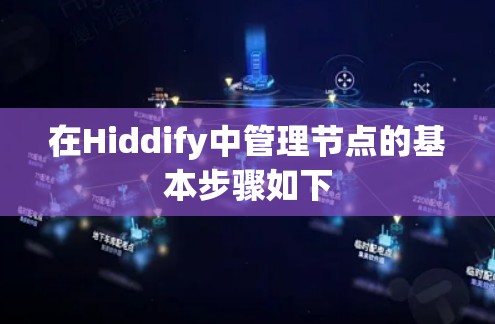 在Hiddify中管理节点的基本步骤如下