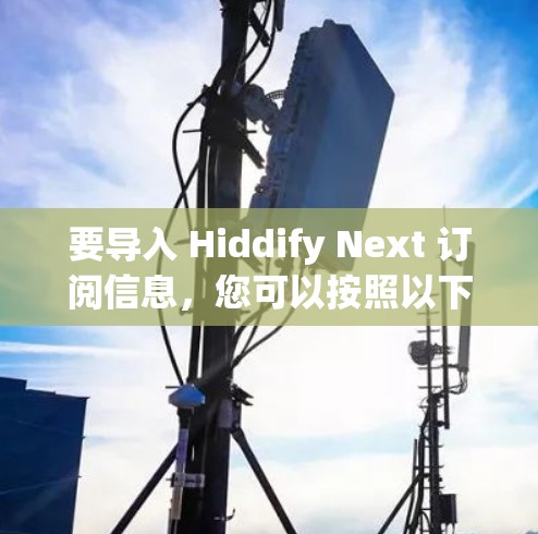 要导入 Hiddify Next 订阅信息，您可以按照以下步骤进行操作