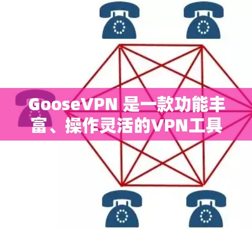 GooseVPN 是一款功能丰富、操作灵活的VPN工具，适合多种用户群体。以下是其主要功能的详细介绍