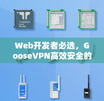 Web开发者必选，GooseVPN高效安全的VPN选择