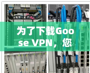 为了下载Goose VPN，您可以按照以下步骤进行操作