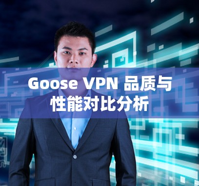 Goose VPN 品质与性能对比分析