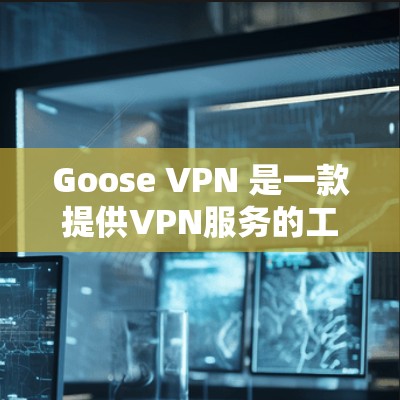 Goose VPN 是一款提供VPN服务的工具，旨在帮助用户在安全和隐私方面连接网络。以下是关于 Goose VPN 的评测和体验分析
