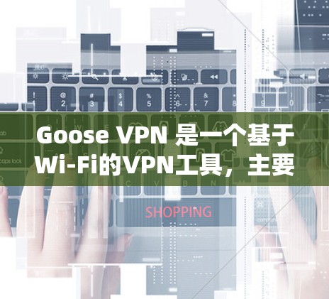 Goose VPN 是一个基于Wi-Fi的VPN工具，主要用于加密IP通信。要正确配置Goose VPN，需要按照以下步骤进行