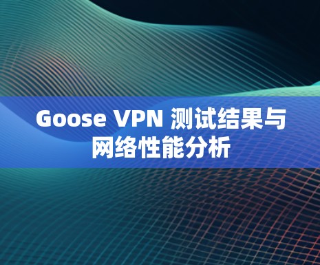 Goose VPN 测试结果与网络性能分析