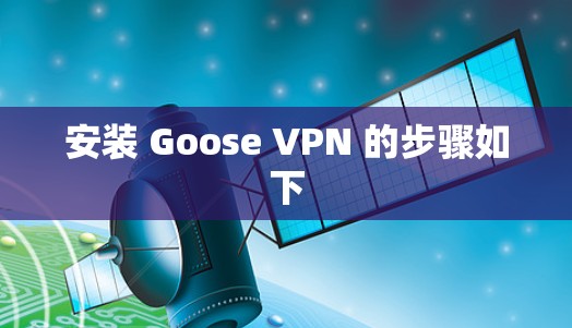 安装 Goose VPN 的步骤如下