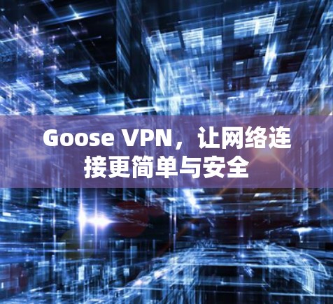 Goose VPN，让网络连接更简单与安全