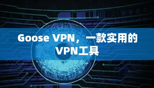 Goose VPN，一款实用的VPN工具