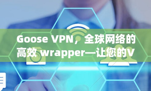 Goose VPN，全球网络的高效 wrapper—让您的VPN更安全、更高效