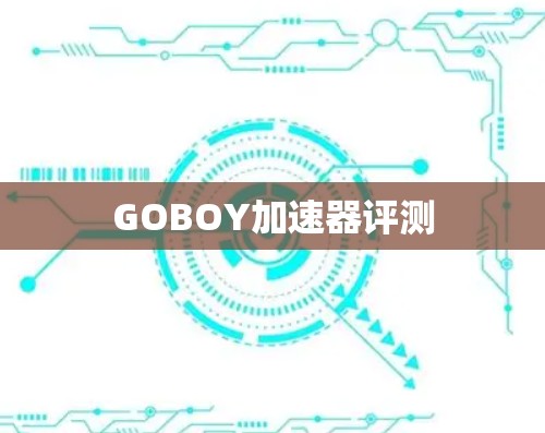 GOBOY加速器评测