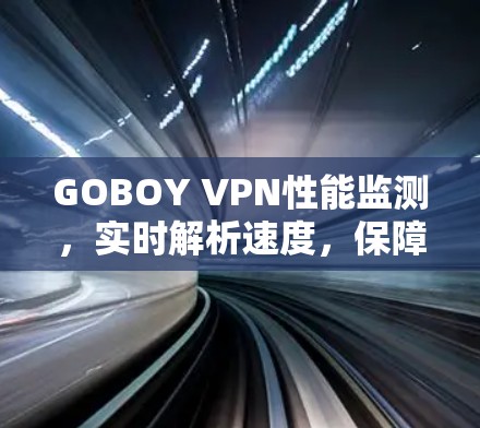 GOBOY VPN性能监测，实时解析速度，保障加密安全