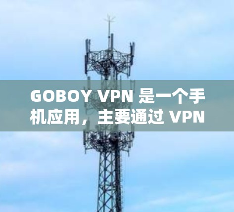 GOBOY VPN 是一个手机应用，主要通过 VPN 保护用户免受网络诈骗的侵害。以下是其在防范网络诈骗方面的关键点