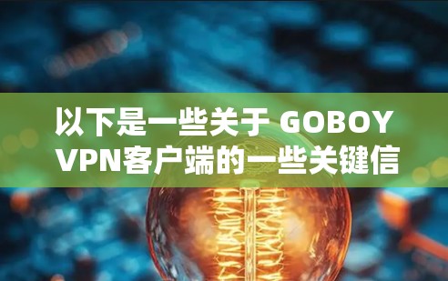以下是一些关于 GOBOY VPN客户端的一些关键信息