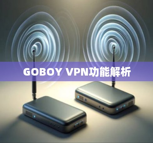 GOBOY VPN功能解析