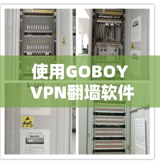 使用GOBOY VPN翻墙软件解决VPN问题是一个明智的选择，结合了技术的进步和安全的设置。以下是对该软件的总结和建议